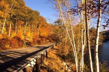 Tranquil Road with Fall Colors in New England | Obraz na stenu