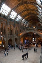 England, London, Natural History Museum Great Hall | Obraz na stenu
