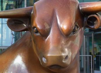 Statue of a Bull, Bull Ring, Birmingham, England | Obraz na stenu