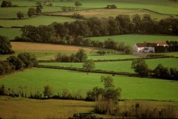 View of Farmlands from Glastonbury Tor, Glastonbury, Somerset, England | Obraz na stenu