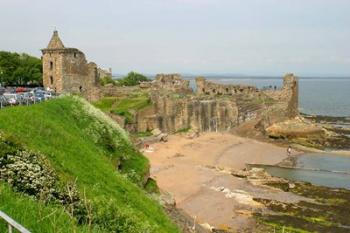 Coastline Beach and Ruins of St Andrews, Scotland | Obraz na stenu