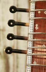 Sitar String Instrument, India | Obraz na stenu