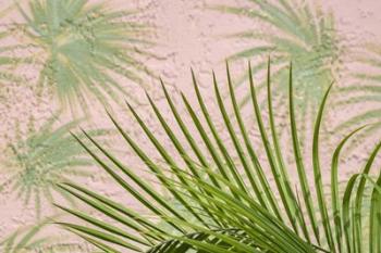 Areca Palm In Front Of Painter Palm Mural | Obraz na stenu