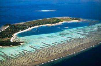 Mana Island, Fiji | Obraz na stenu