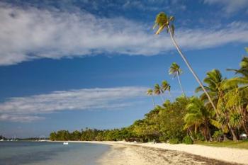 Beach and palm trees, Plantation Island Resort, Fiji | Obraz na stenu