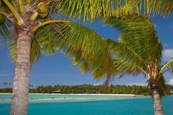 Palm trees and lagoon entrance, Musket Cove Island Resort, Malolo Lailai Island, Mamanuca Islands, Fiji | Obraz na stenu