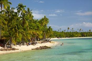 Beach, palm trees and beachfront bures, Plantation Island Resort, Malolo Lailai Island, Mamanuca Islands, Fiji | Obraz na stenu