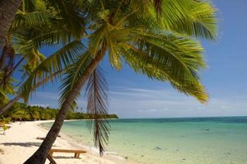 Beach and palm trees, Plantation Island Resort, Mamanuca Islands, Fiji | Obraz na stenu