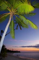 Palm trees and sunset, Plantation Island Resort, Fiji | Obraz na stenu