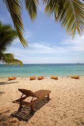 Beach, palm trees and lounger, , Fiji | Obraz na stenu