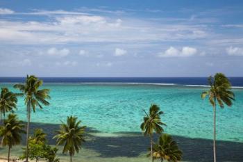 Palm trees and coral reef, Crusoe's Retreat, Coral Coast, Viti Levu, Fiji | Obraz na stenu