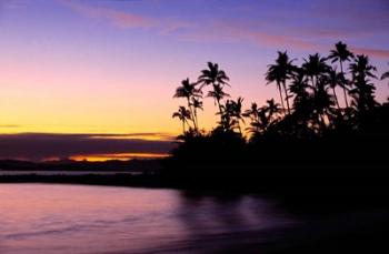 Fiji Islands, Tavarua, Palm trees and sunset | Obraz na stenu