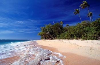 Fiji Islands, Tavarua, Beach | Obraz na stenu