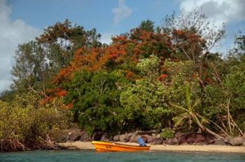 Christmas Tree and Orange Skiff, Turtle Island, Yasawa Islands, Fiji | Obraz na stenu