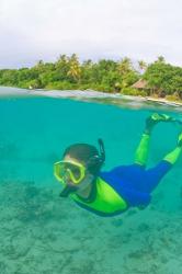 Snorkeling, Picnic island, Viti Levu Fiji | Obraz na stenu
