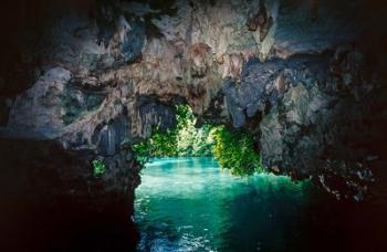 Bat cave in Airai, Palau, Micronesia | Obraz na stenu