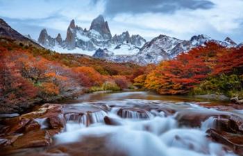 Argentina, Los Glaciares National Park Mt Fitz Roy And Lenga Beech Trees In Fall | Obraz na stenu