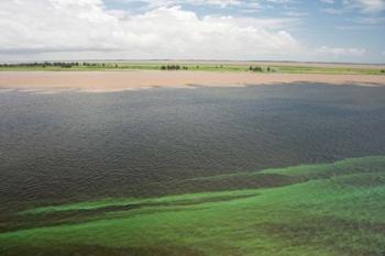 Brazil, Amazon River, Santarem Meeting of the Waters Algae bloom | Obraz na stenu