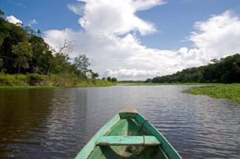 Dugout canoe, Boat, Arasa River, Amazon, Brazil | Obraz na stenu