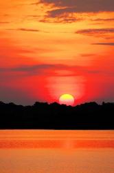 Amazon Jungle, Brazil, Sunset | Obraz na stenu