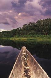 Paddling a dugout canoe on Lake Anangucocha, Yasuni National Park, Amazon basin, Ecuador | Obraz na stenu