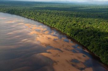 Essequibo River, between the Orinoco and Amazon, Iwokrama Reserve, Guyana | Obraz na stenu