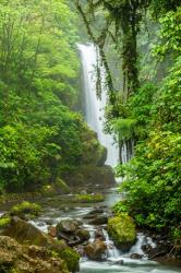 Costa Rica, La Paz Waterfall Garden Rainforest Waterfall And Stream | Obraz na stenu