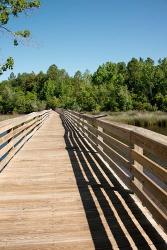 Alabama, Theodore Bayou Boardwalk of the Bellingrath gardens | Obraz na stenu