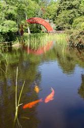 Alabama, Theodore Bridge and Koi Pond at Bellingrath Gardens | Obraz na stenu