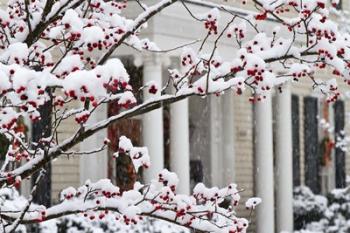 Twickenham in Christmas, Huntsville, Alabama | Obraz na stenu