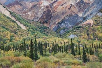 Alaska, Fall Foliage, Sheep Mountain | Obraz na stenu