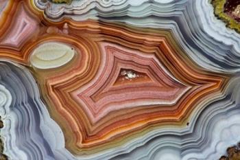 Mexican Banded Agate Quartzsite, Arizona 1 | Obraz na stenu