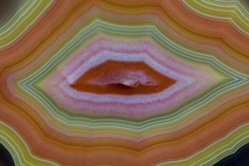 Banded Agate, Quartzsite, Az 4 | Obraz na stenu