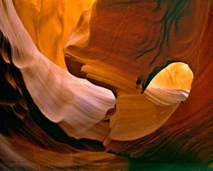 Arizona, Antelope Canyon | Obraz na stenu