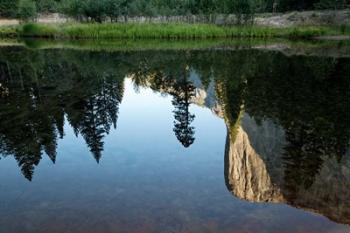 Reflection of El Capitan in Mercede River, Yosemite National Park, California - Horizontal | Obraz na stenu