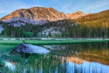 California, Sierra Nevada Mountains Calm Reflections In Grass Lake | Obraz na stenu