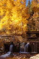 Autumn Waterfalls In The Sierra | Obraz na stenu