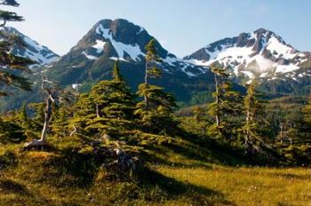 Mount Eccles Near Cordova, Alaska | Obraz na stenu