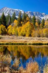 Yosemite's Mount Dana | Obraz na stenu