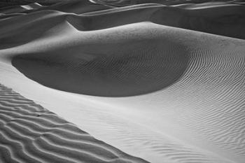 Valley Dunes, California (BW) | Obraz na stenu