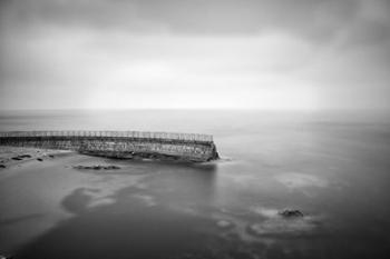 California, La Jolla Children's Pool (BW) | Obraz na stenu