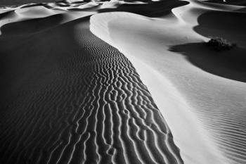Valley Dunes Landscape, California (BW) | Obraz na stenu