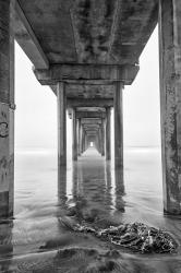 Scripps Pier, California (BW) | Obraz na stenu