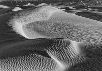Valley Dunes Desert, California (BW) | Obraz na stenu