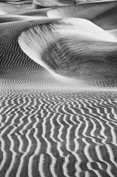 California's Valley Dunes (BW) | Obraz na stenu