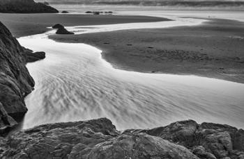 California, Mendocino Jughandler Creek (BW) | Obraz na stenu