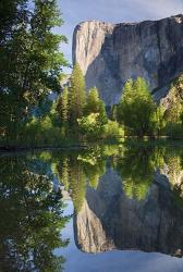 El Capitan reflected in Merced River Yosemite NP, CA | Obraz na stenu