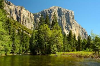 Merced River on the Valley Floor, Yosemite NP, California | Obraz na stenu