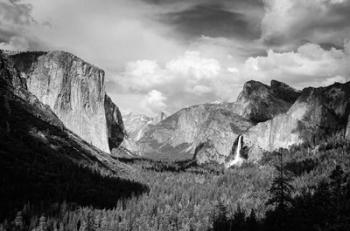 Panoramic View Of Yosemite Valley (BW) | Obraz na stenu