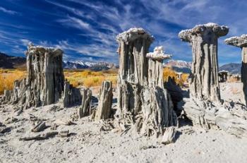 Tufa Formations At Mono Lake | Obraz na stenu